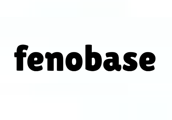 FenoBase: Türkiye’nin İnfluencer Veritabanı